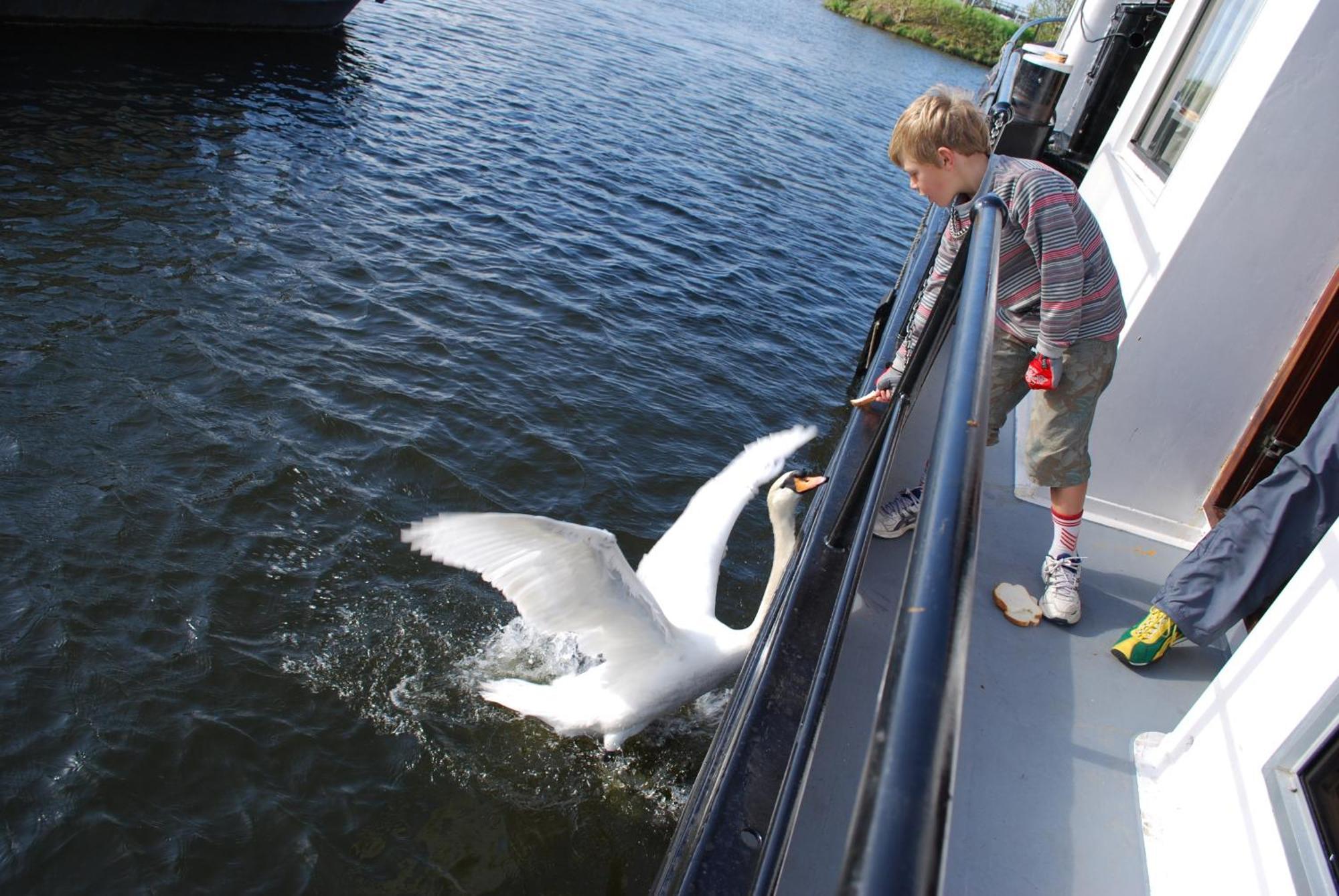 Hotelboot Zwaan Amszterdam Kültér fotó